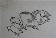 《在丛林中》插图《猪》