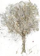 一棵树的肖像（14-4）-纸上水彩