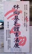 2014年春节林向基毛体书画展在霞浦文体局三楼展出