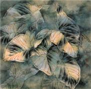 露4