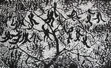 《秋风中的鹿角树》木刻版画 2005年