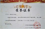中国书画500强荣誉证书