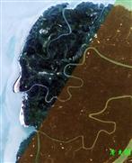 卫星图像 林龙亮发掘 