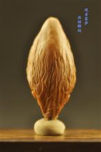 《观音菩萨》画核雕刻 核雕作品 (6)