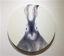 兔子回家——许峰个人作品 01