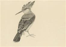 《珍禽写生之二》30x42cm 小写意花鸟 纸本设色 2017年
