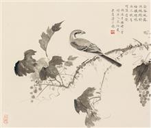 《墨花墨禽册之九》43.5x50.5cm 小写意花鸟 纸本设色 2015年