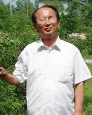 杨国桓