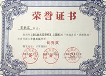 王长江获奖证书1