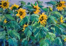 《向阳花》100x70cm 风景题材 布面油画