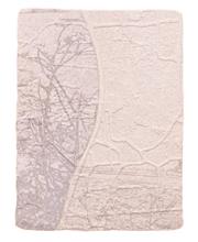 《水痕草衣No.2-2》，絹版、凹版，25×18cm，2011