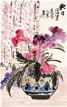 窗帘下的鸡冠花