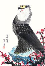 李立之作品《高瞻远瞩》写意雄鹰 纸本水墨设色 2016年