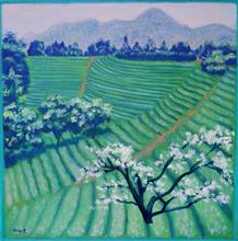 《清新茶山》40×40cm  布面油画 2020年