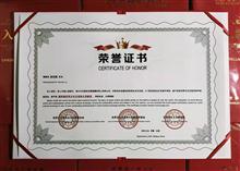 荣誉证书 (8)