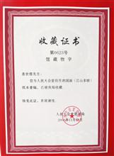 荣誉证书 (1)