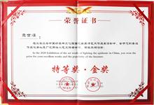 荣誉证书 (3)