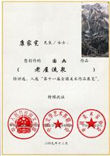 康家宪-荣誉证书 (5)